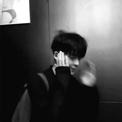 Furry插画色彩灵感福瑞群